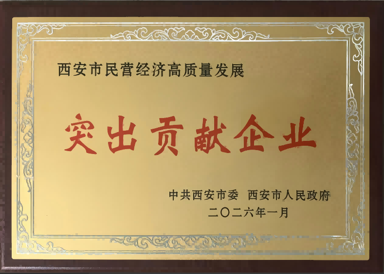 西安市民营经济高质量发展突出贡献企业